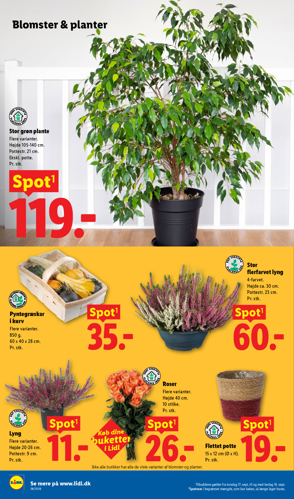 Lidl tilbudsavis fra 13.09.2026 Side.32 