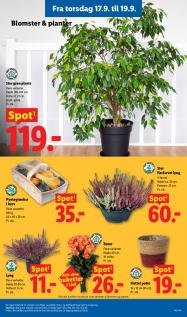 Lidl tilbudsavis fra 13.09.2026 Side.25 