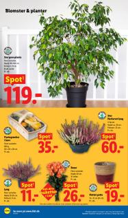 Lidl tilbudsavis fra 13.09.2026 Side.32 