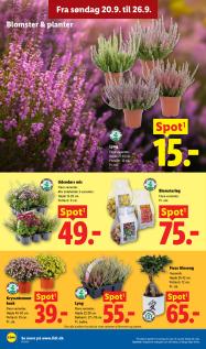 Lidl tilbudsavis fra 20.09.2026 Side.35 