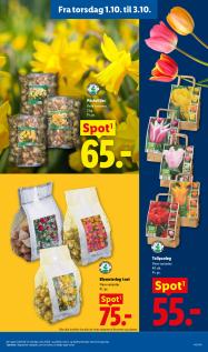 Lidl tilbudsavis fra 27.09.2026 Side.35 
