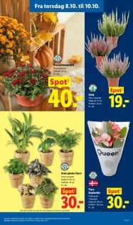 Lidl tilbudsavis fra 04.10.2026 Side.33 