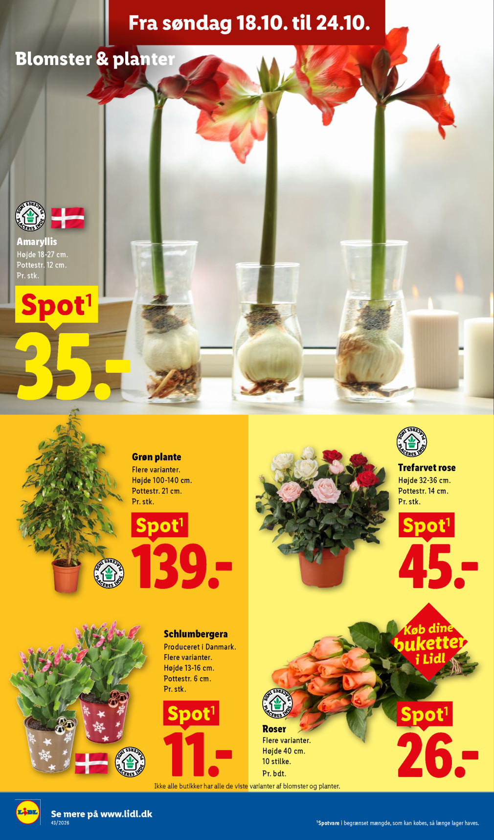 Lidl tilbudsavis fra 18.10.2026 Side.31 