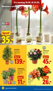 Lidl tilbudsavis fra 18.10.2026 Side.31 