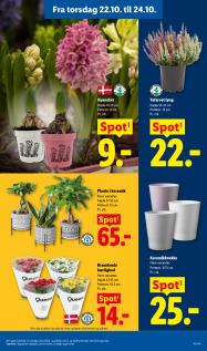 Lidl tilbudsavis fra 18.10.2026 Side.32 