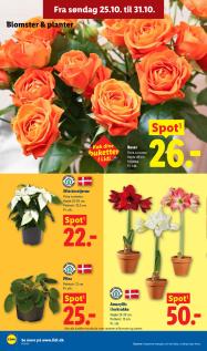 Lidl tilbudsavis fra 25.10.2026 Side.30 
