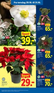 Lidl tilbudsavis fra 25.10.2026 Side.31 