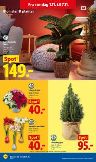 Lidl tilbudsavis fra 01.11.2026 Side.36 