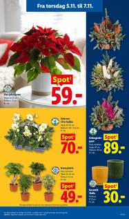Lidl tilbudsavis fra 01.11.2026 Side.37 