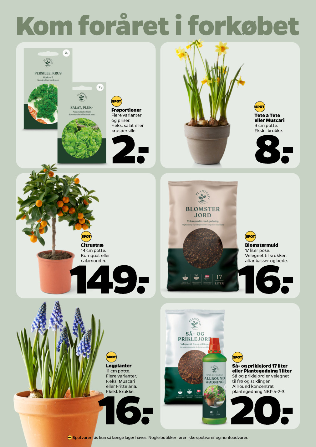 Netto tilbudsavis fra 01.02.2025 Side.32 