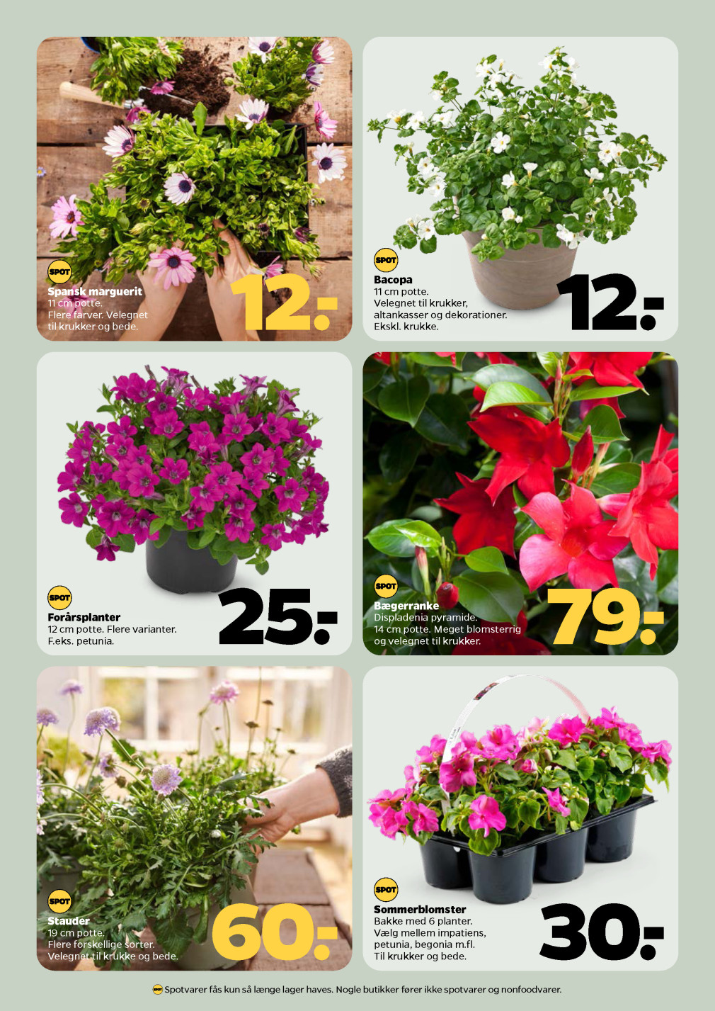 Netto tilbudsavis fra 26.04.2025 Side.42 