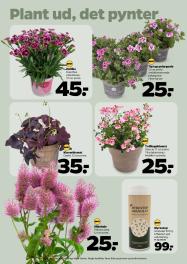 Netto tilbudsavis fra 17.05.2025 Side.33 