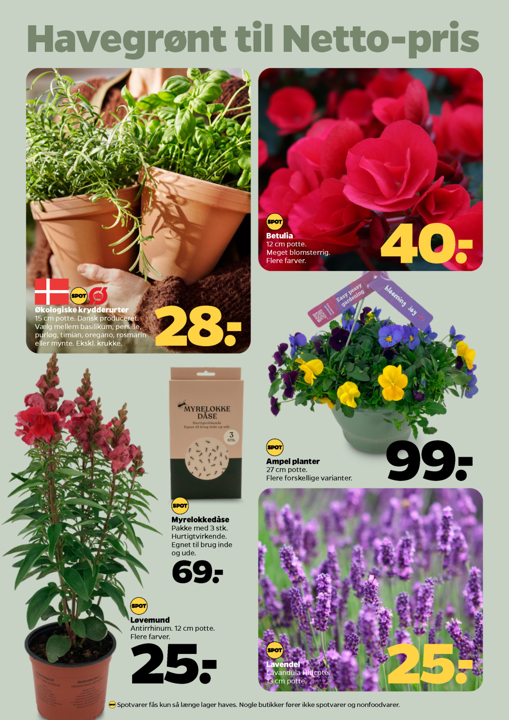 Netto tilbudsavis fra 31.05.2025 Side.29 