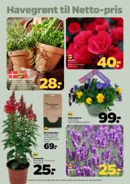 Netto tilbudsavis fra 31.05.2025 Side.29 