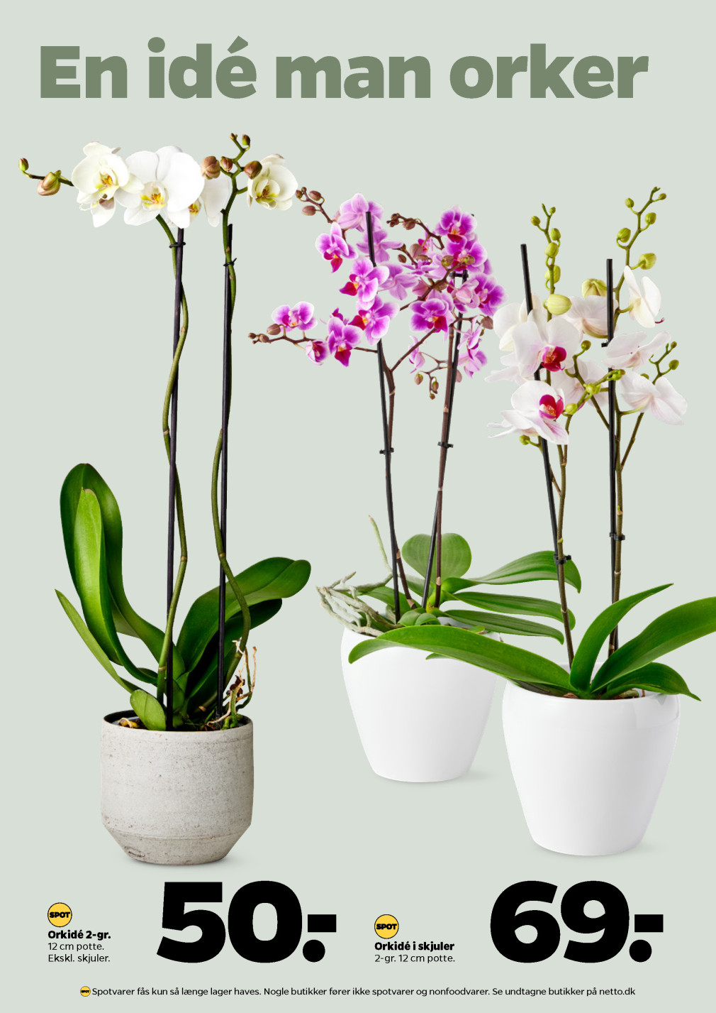 Netto tilbudsavis fra 09.08.2025 Side.29 