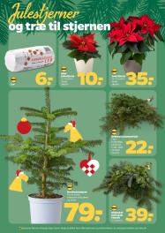 Netto tilbudsavis fra 22.11.2025 Side.31 