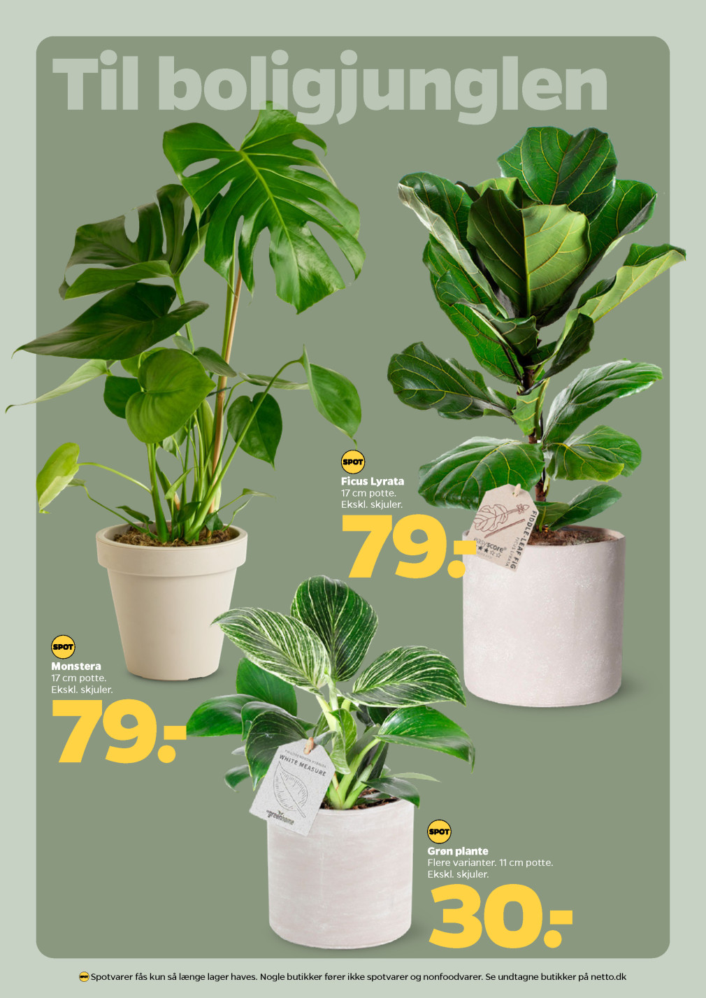 Netto tilbudsavis fra 17.01.2026 Side.25 