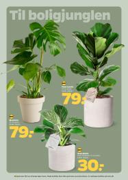 Netto tilbudsavis fra 17.01.2026 Side.25 