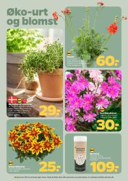 Netto tilbudsavis fra 18.04.2026 Side.26 