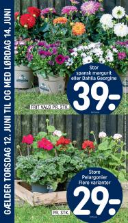 REMA 1000 tilbudsavis fra 10.06.2025 Side.28 