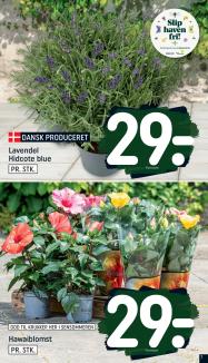 REMA 1000 tilbudsavis fra 03.08.2025 Side.7 